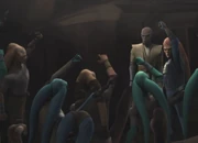 Mace inmitten der Twi'lek-Freiheitskämpfer