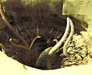 Grube Carkoon Sarlacc2