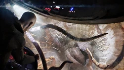 Boba Fetts Sklave I wird in den Sarlacc gezogen.