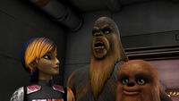 Sabine und Wookiees