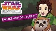 STAR_WARS_–_DIE_MÄCHTE_DES_SCHICKSALS_–_Ewoks_auf_der_Flucht_Star_Wars_Kids