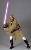 Mace Windu groß