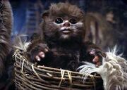 Ewok-Baby