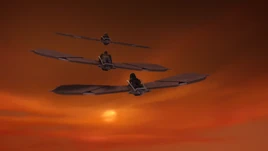 Imschutzdernachtsegler