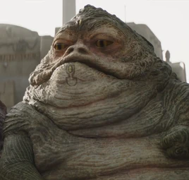 Jabbas Cousin