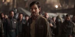 Cassian Andor&Rebellen