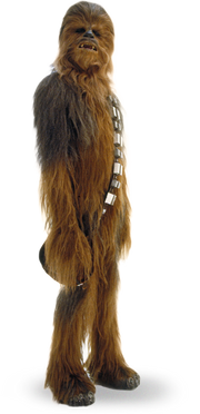 Chewbacca detail