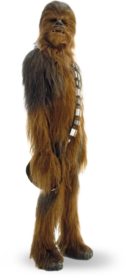 Chewbacca detail