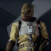 Bossk