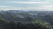 Kashyyyk (TBB)