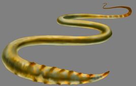 Gehirn-Wurm