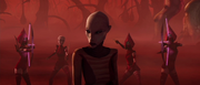 Asajj Ventress umzingelt von Nachtschwestern