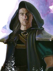 Xanatos und Qui-Gon Jinn im Kampf