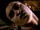 Dying Boy