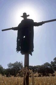 Scarecrow