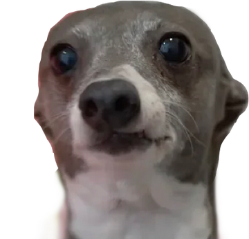Kermet Jenna Marbles Wiki Fandom