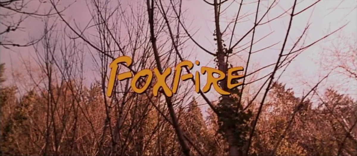 Foxfire | The Jenny Lewis Museum Wiki | Fandom
