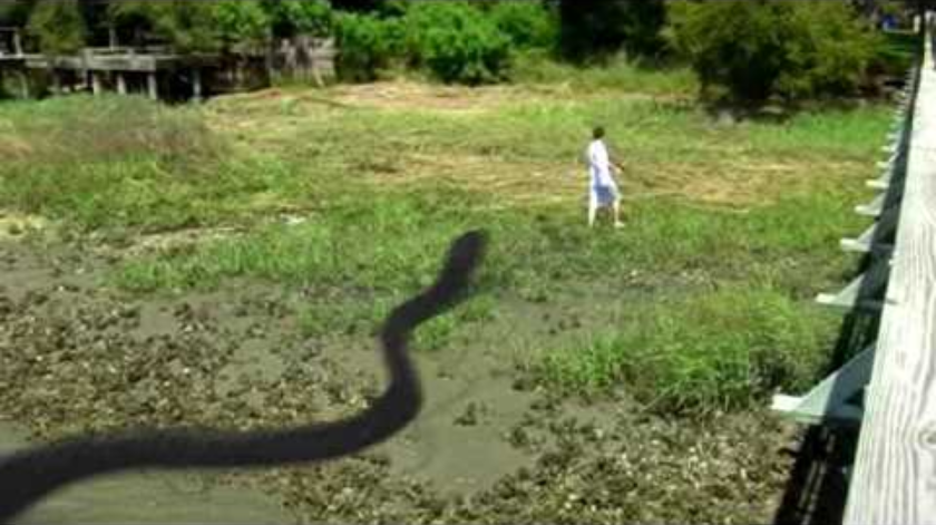 Giant Snake | JesseAndMike Wiki | Fandom