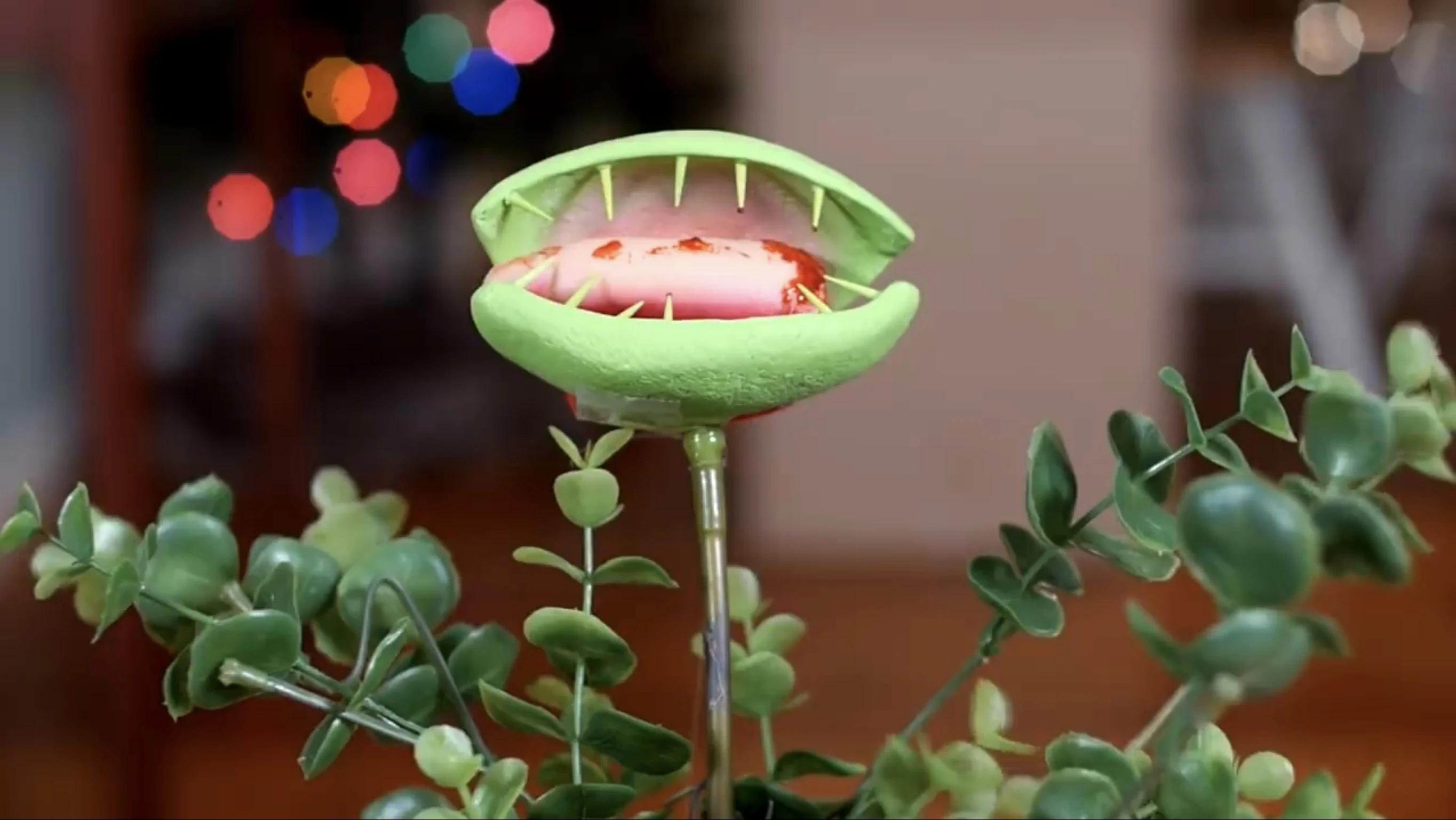 VENUS FLYTRAP BITES FINGER! | JesseAndMike Wiki | Fandom