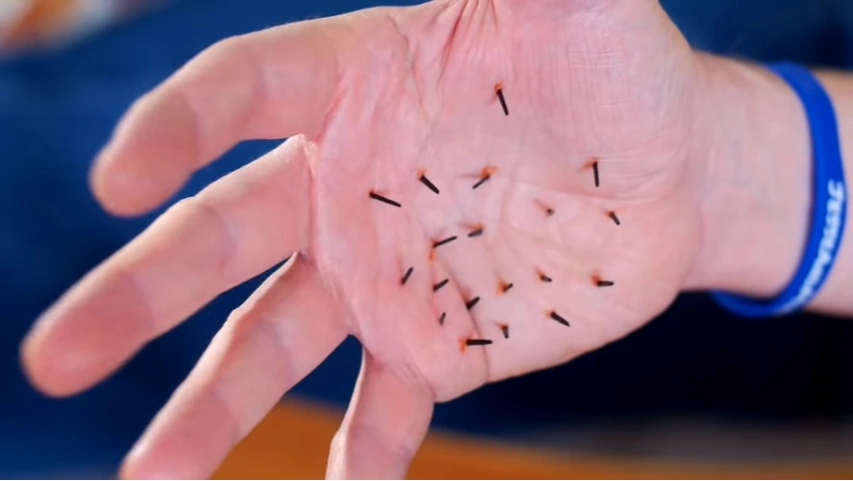 Stuck By Cactus Jesseandmike Wiki Fandom