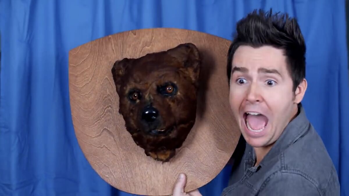 BEAR ATTACK! | JesseAndMike Wiki | Fandom