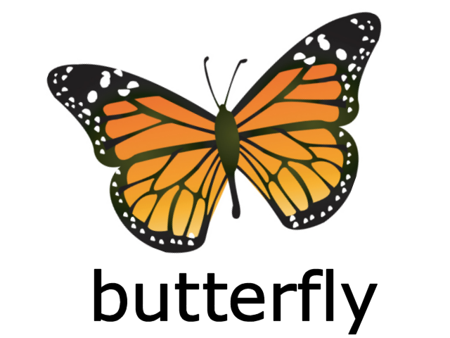 Карточки домана бабочки. Мотылек на английском. Стишок про бабочку на английском. Насекомые. Danaus gilippus.