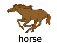 Horse