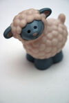 Cute sheep