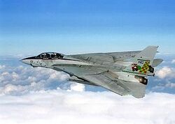F-14 Tomcat | Jet Wiki | Fandom