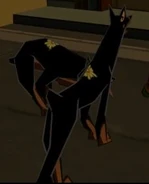 A couple of police dogs.