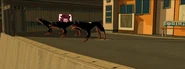 Police Dogs-Escape Point 2.jpg (513 KB) Cutscene after losing the dogs at a different escape point during the Monster of Kogane.