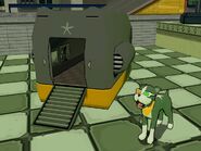 Pots' image inside his kennel.