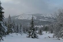 View of the Dyatlov Mountain from the base.