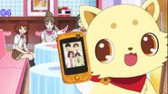 Kohaku has a phone walpaper of the popular boys group.