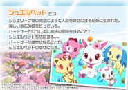 "What are the Jewelpets ?"