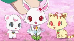 Leon's Secret Doki☆Doki! | Jewel Pet Wiki | Fandom