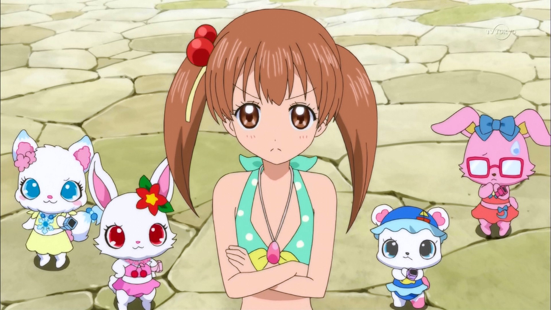 Jewelpet Magical Girl Anime Gets 6th TV Show in April - News - Anime News  Network