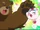 Brown Bear School Desu!