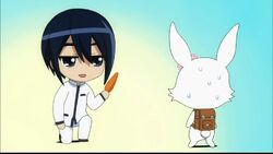 Mikage Shiraishi Jewel Pet Wiki Fandom