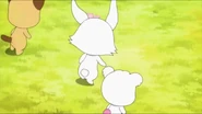 An unknown Jewelpet seen in the sport competition.