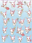 Various illustrations of Ruby.
