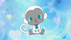 tataty様 Tata/Image Gallery/Anime | Jewel Pet Wiki | Fandom