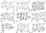 Concept arts for Jewelpet Kira☆Deco!. (including Kiichi Furano, Ruby, Garnet, Sapphie, Labra and Angela)