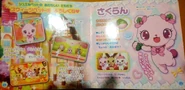 Introduction to the Sweetspets (page 28) and Sakuran presentation (page 29).