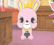 King in Jewelpet: Let's Play Together in the Room of Magic! DS game.