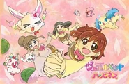 Jewelpet Happiness wishes you a Happy New Year !