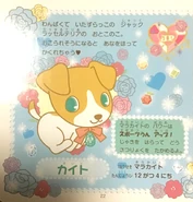 Chite's presentation page.
