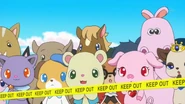 A cream hamster/small bear with Jewelpet-like eyes. 2