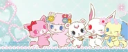The main Jewelpets on a banner visual.
