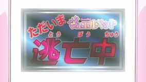 Jewelpet: Currently on the Run | Jewel Pet Wiki | Fandom